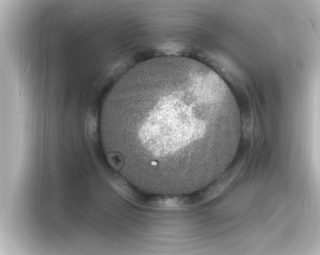 X0000116150365200911301545