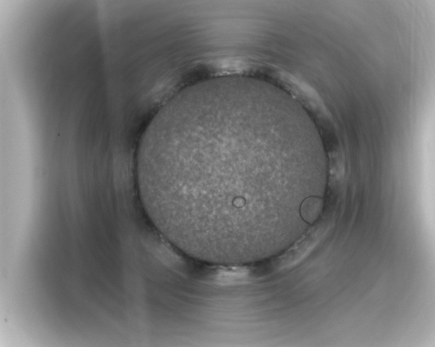 X0000116150369200911301545