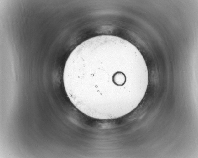 X0000116150370200911301545