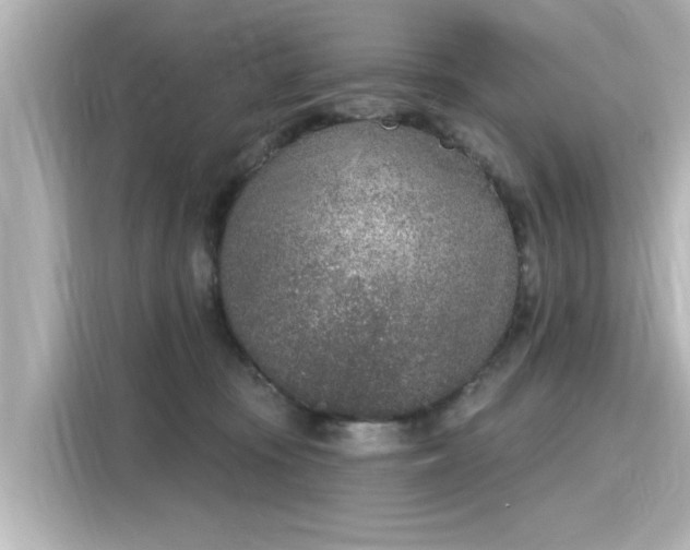 X0000116150371200911301545