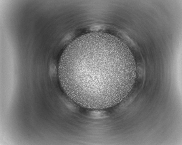 X0000116150375200911301545