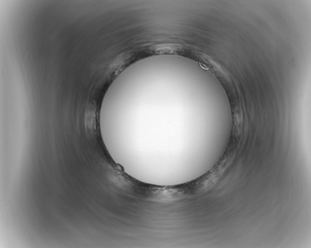 X0000116150379200911301545