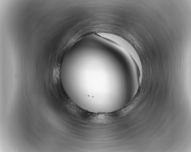 X0000116150382200911301546