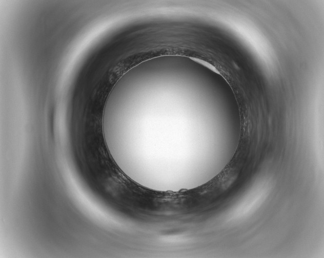 X0000116150383200911301546