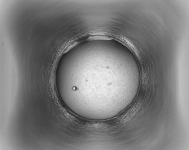 X0000116150385200911301545