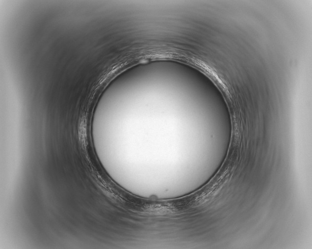 X0000116150386200911301545