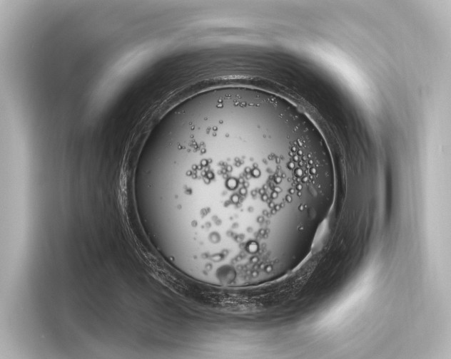 X0000116150387200911301545