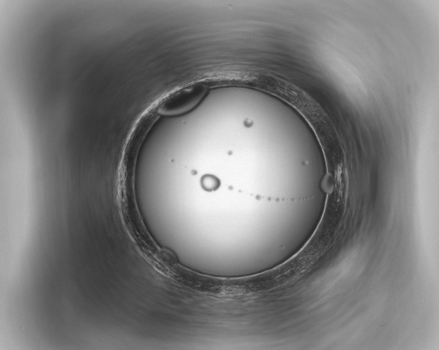 X0000116150388200911301545