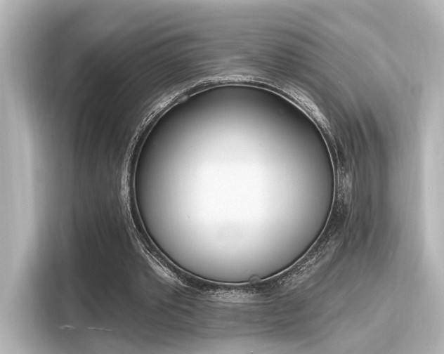 X0000116150389200911301545