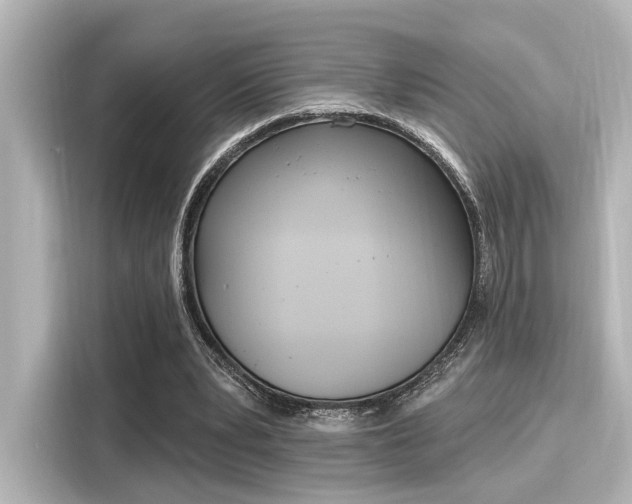 X0000116150391200911301545