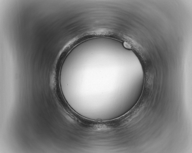 X0000116150392200911301545