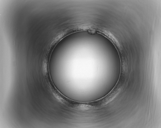 X0000116150393200911301545