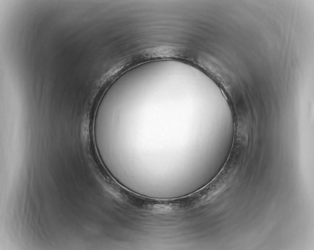 X0000116150394200911301545