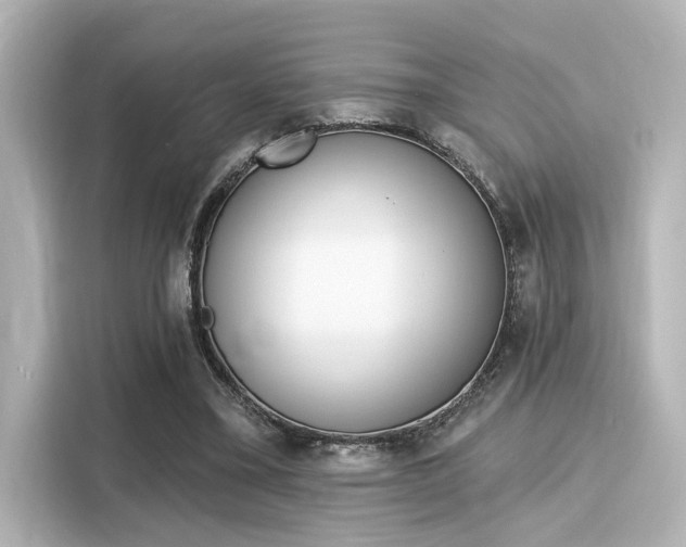 X0000116150395200911301545