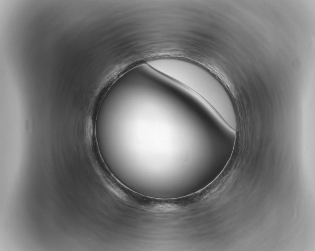 X0000116150397200911301545