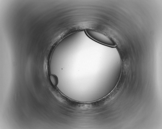 X0000116150398200911301545