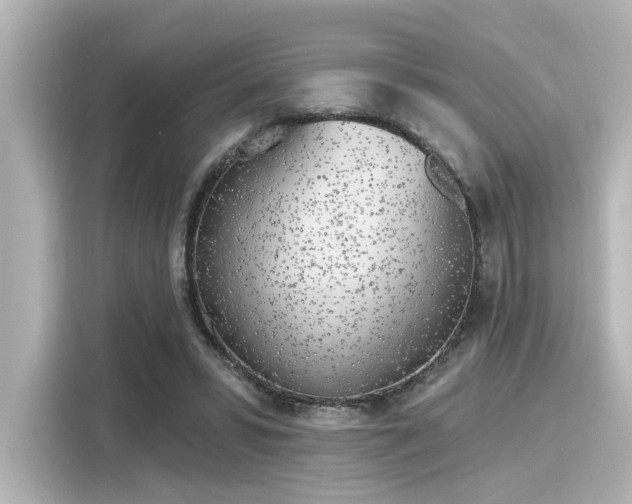 X0000116150399200911301545