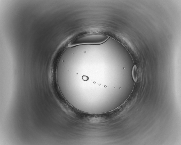 X0000116150400200911301545