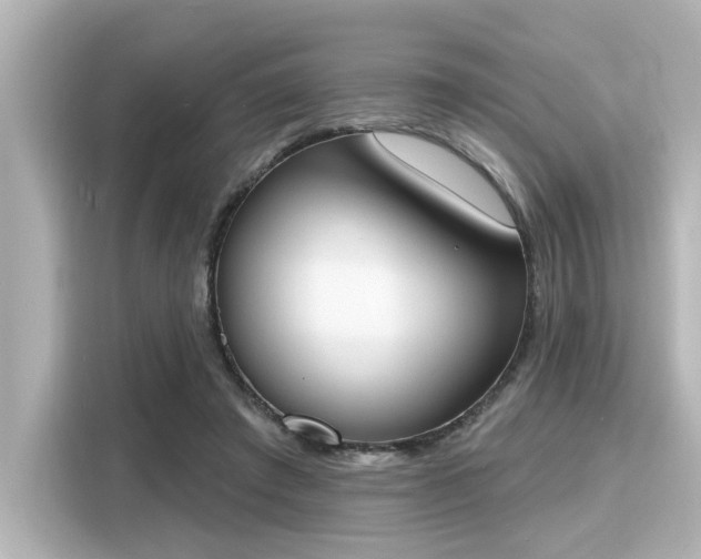 X0000116150401200911301545