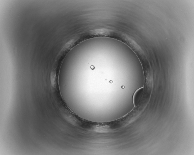 X0000116150403200911301545