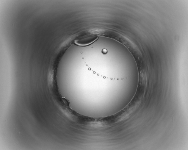 X0000116150404200911301545