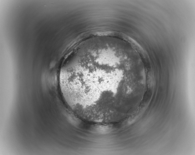 X0000116150405200911301545