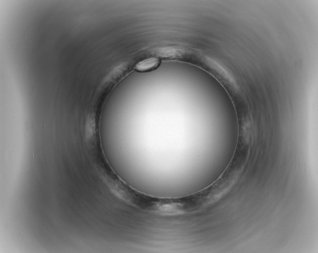 X0000116150407200911301545