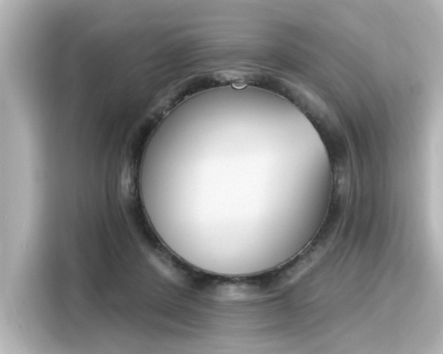 X0000116150408200911301545