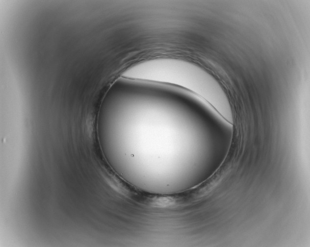 X0000116150409200911301545