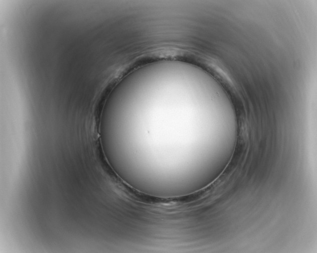 X0000116150411200911301545