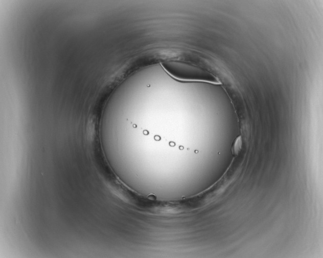 X0000116150412200911301545