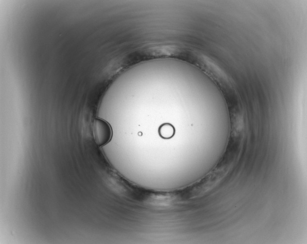 X0000116150414200911301545