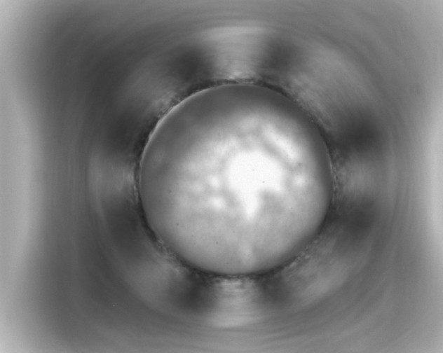 X0000116150415200911301545