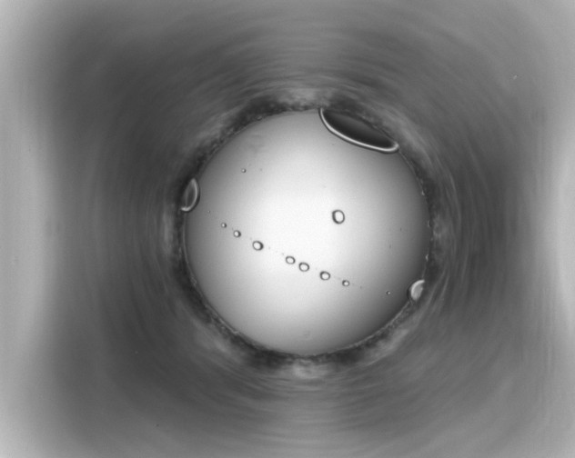 X0000116150416200911301545