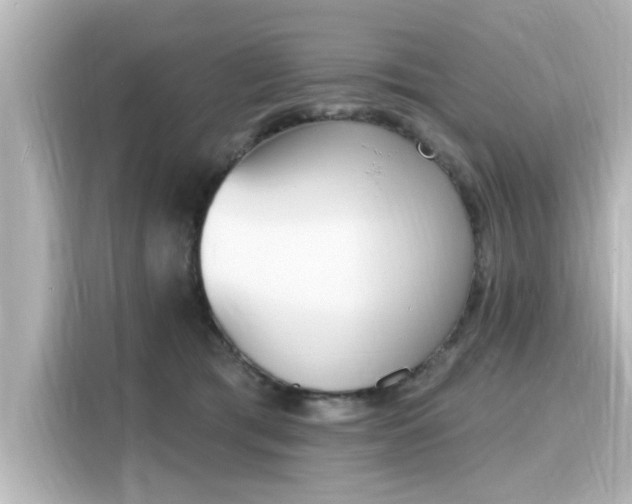 X0000116150417200911301544