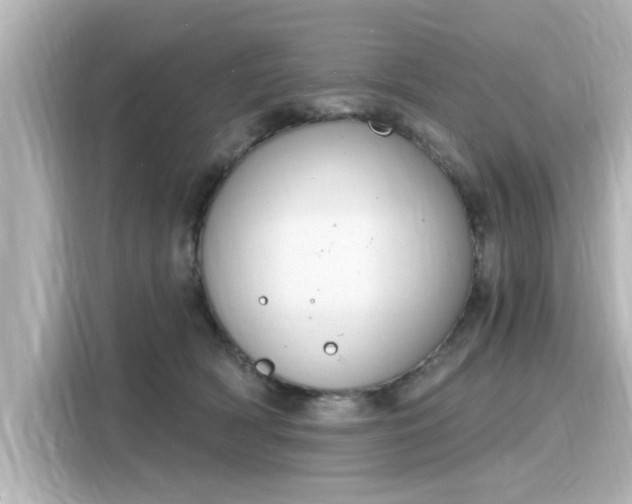 X0000116150418200911301544