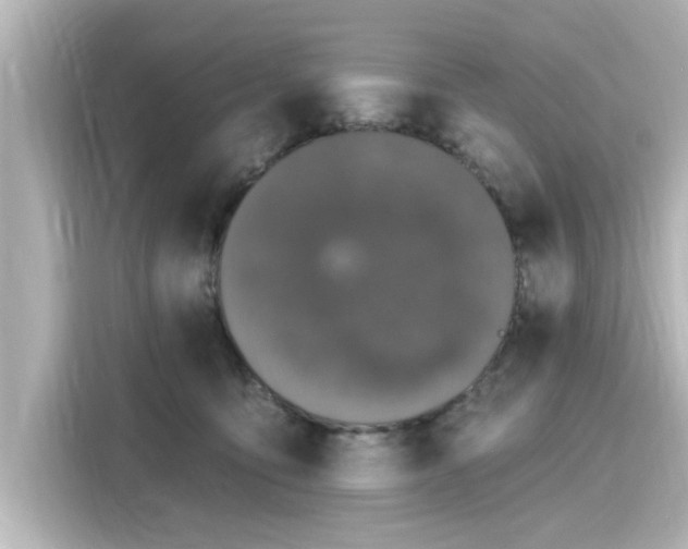 X0000116150419200911301544