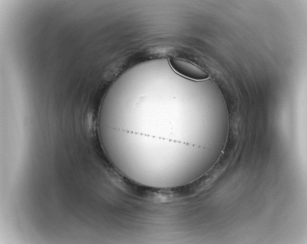 X0000116150420200911301544