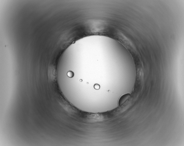 X0000116150421200911301544