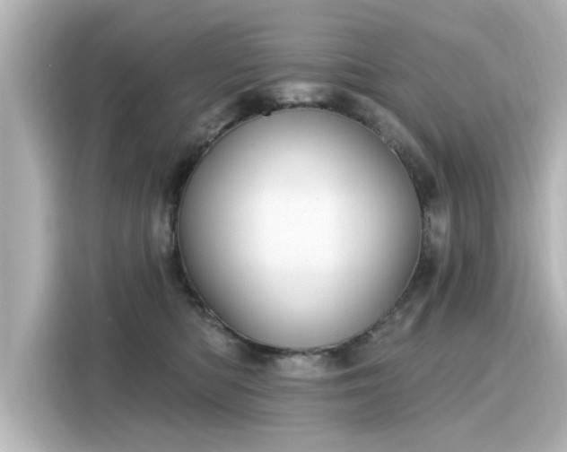 X0000116150422200911301544