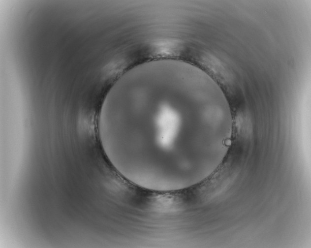 X0000116150423200911301544