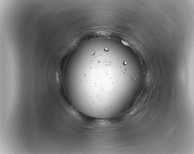 X0000116150424200911301544