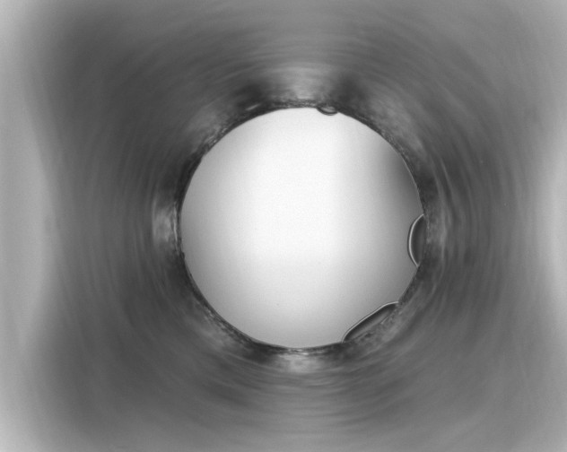 X0000116150425200911301544