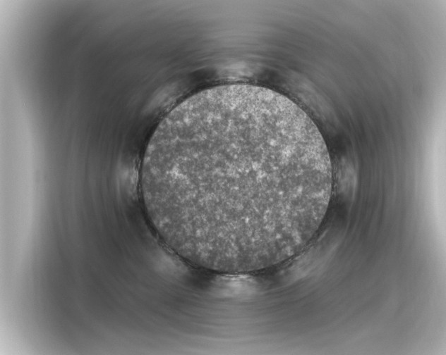 X0000116150427200911301544