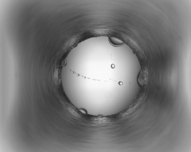 X0000116150428200911301544