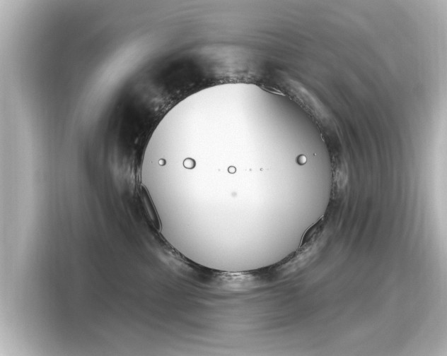 X0000116150429200911301544