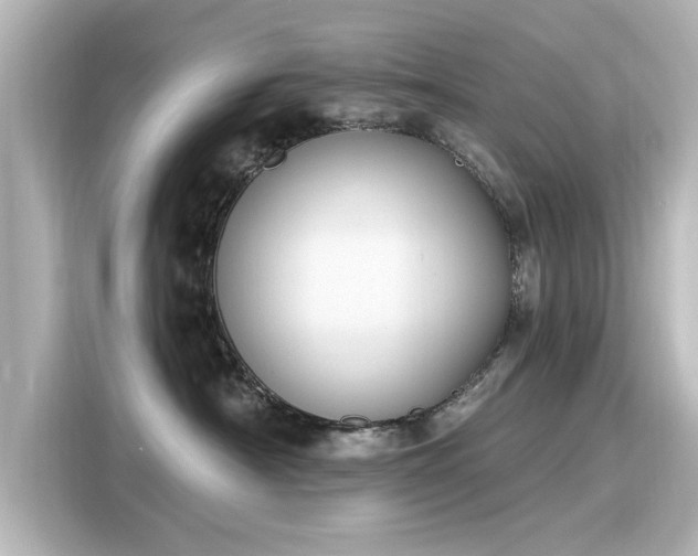 X0000116150430200911301544