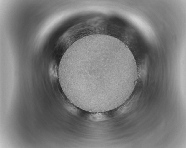 X0000116150431200911301544