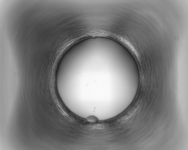 X0000116150433200911301544