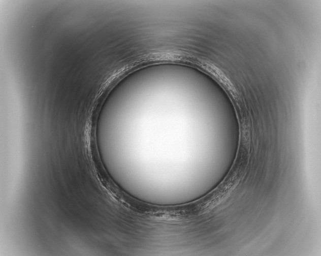 X0000116150434200911301544